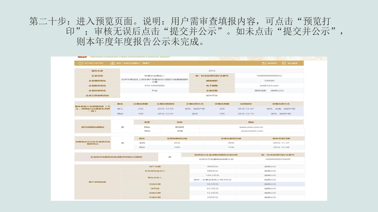 企業(yè)年報圖片19