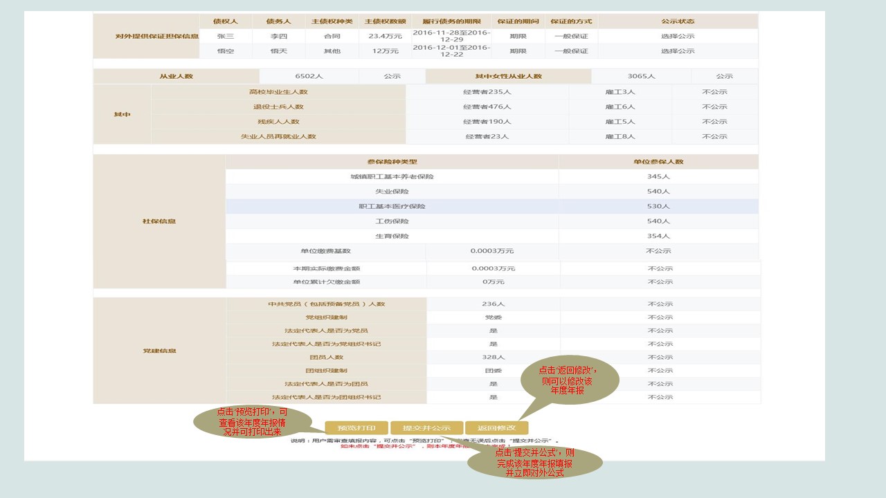 企業(yè)年報圖片20