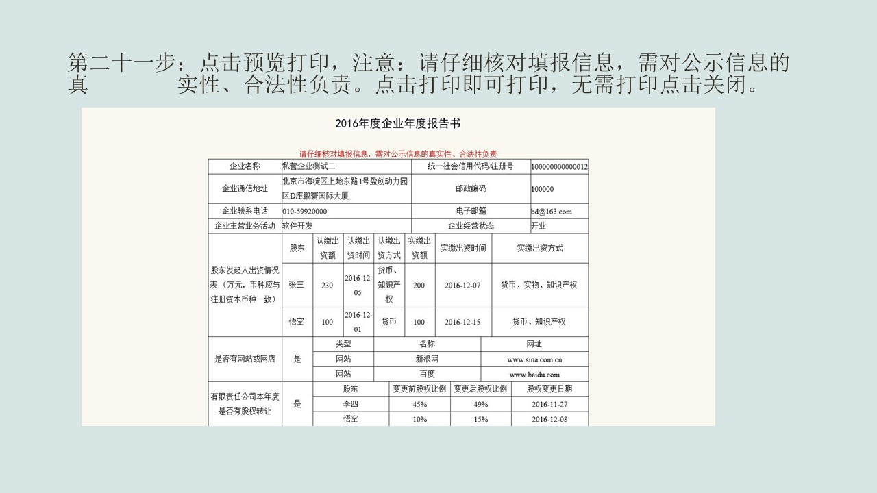 企業(yè)年報圖片21